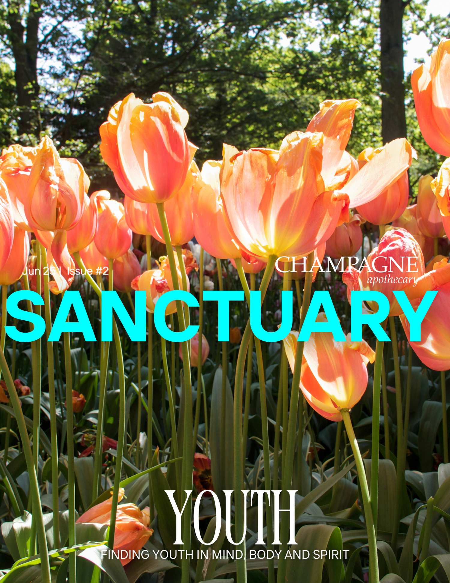 Champagne Apothecary's Sanctuary Magazine June '25 | Issue #6
