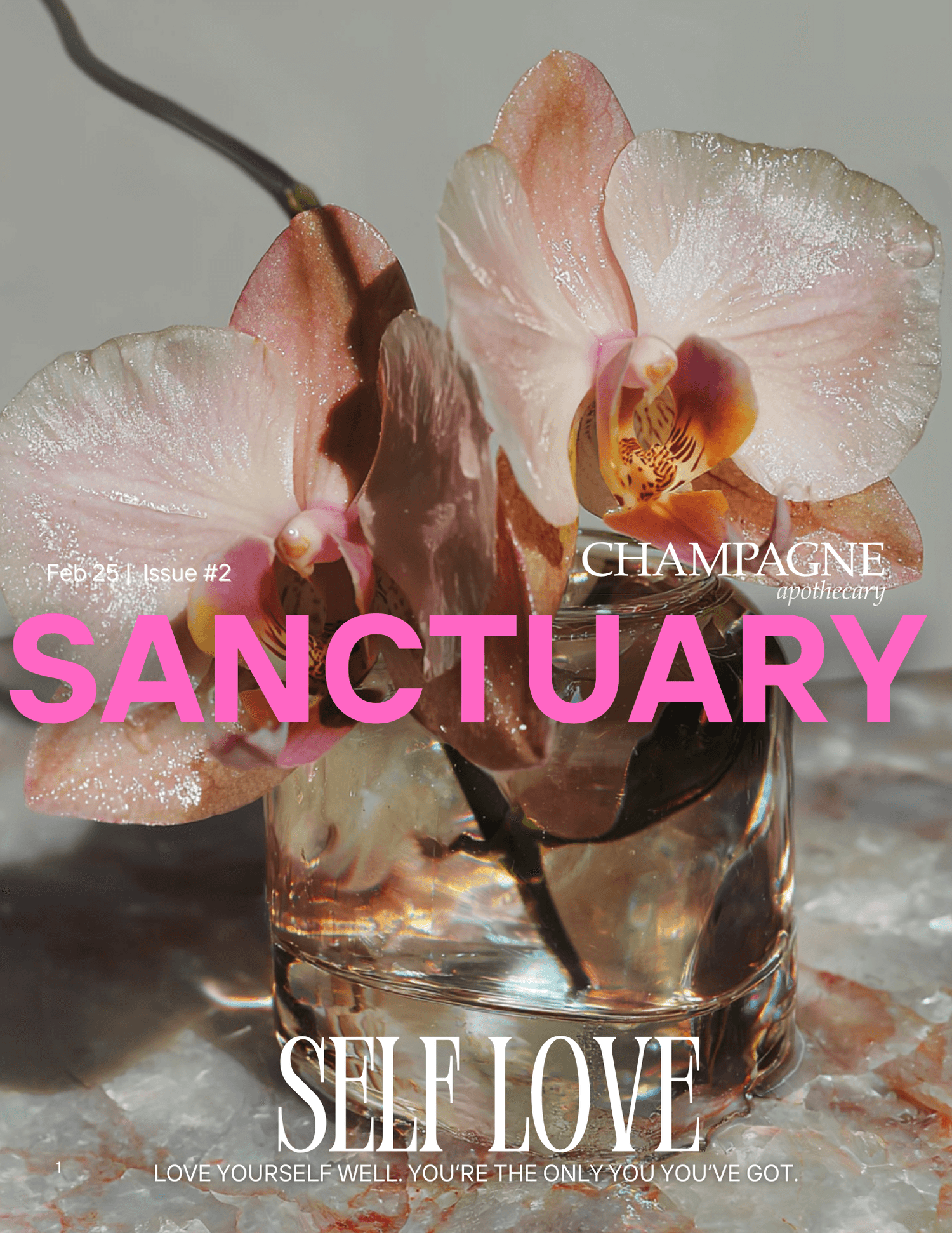 Cover of Champagne Apothecary's Sanctuary Magazine Issue #2 focusing on self love and wellness.